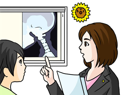 首の骨の説明